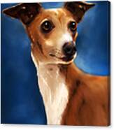 Magnifico - Italian Greyhound Canvas Print