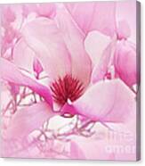 Magnolia Mist Canvas Print