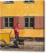Mail Delivery Canvas Print