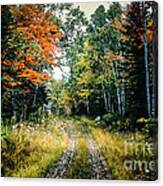 Maine Back Road Canvas Print