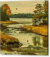 Maine Wetlands Canvas Print