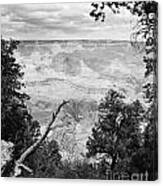 Majestic Grand Canyon From The Rim In Black And White Canvas Print