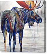 Majestic Moose Canvas Print