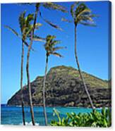 Makapu'u Point Lighthouse Under The Mid Day Moon Canvas Print