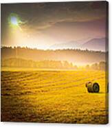 Make Hay While The Sunshines Canvas Print