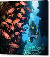 Male Scuba Diver In Cave Canvas Print