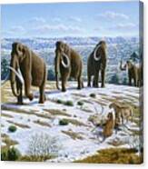 Mammals Of The Pleistocene Era Canvas Print