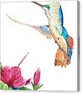 Mango Hummingbird Canvas Print