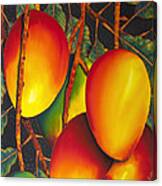 Mangos Canvas Print