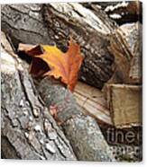 Maple Leaf In Wood Pile Canvas Print