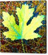 Maple Leaf Poster Style Canvas Print