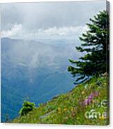 Mary's Peak Viewpoint Canvas Print