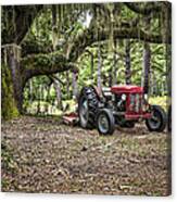 Massey Ferguson - Live Oak Canvas Print