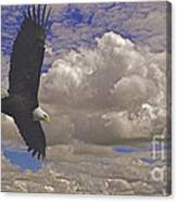 Master In Flight - Signed Canvas Print