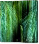 Meditations On Movement In Nature Canvas Print