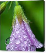 Memories Of Rain Canvas Print