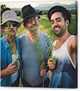 Men Enjoying In Marijuana Field Canvas Print