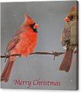 Merry Christmas Cardinals Canvas Print