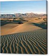 Mesquite Dunes Canvas Print