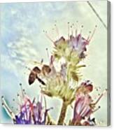 #mgmarts #flower #spring #summer #bee Canvas Print