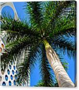 Miami Palm Canvas Print
