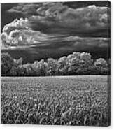 Michigan Countryside Canvas Print