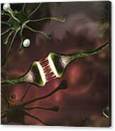 Microscopic Image Of Brain Neurons Canvas Print