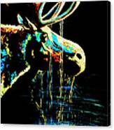 Midnight Moose Drool Canvas Print