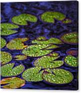 Midnight Pond With Lily Pads Canvas Print