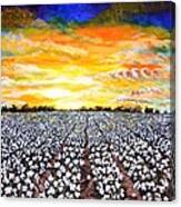 Mississippi Delta Cotton Field Sunset Canvas Print