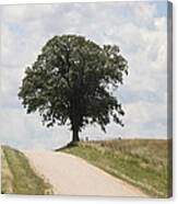 Missouri Road Canvas Print