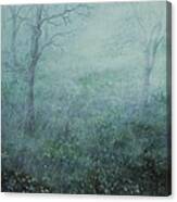 Mist On The Meadow Canvas Print