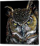 Mister Owl Canvas Print