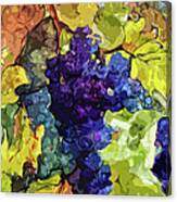 Modern Wine Grapes Art Canvas Print