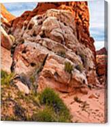 Mojave Desert Sandstone Wash - Valley Of Fire - Nevada Canvas Print