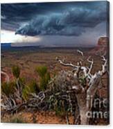 Moki Dugway Thunderstorm - Southern Utah Canvas Print