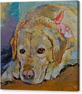 Yellow Labrador Retriever Canvas Print