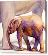 Mom And Baby Boy Elephants Canvas Print