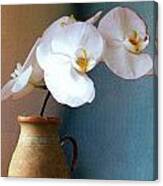 Mom's Orchid Canvas Print
