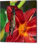 Monarch Lily Canvas Print