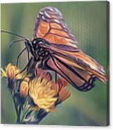 Monarch Striations Canvas Print