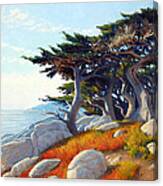 Monterey Cypress Canvas Print