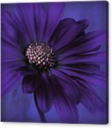 Mood Indigo Canvas Print