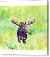 Moose In Flowers Canvas Print