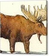 Moose Canvas Print
