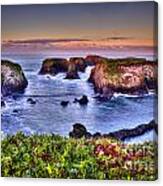 Morning At The Cove Canvas Print