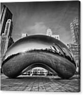 Morning Bean In Black And White Canvas Print