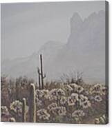 Morning Desert Haze Canvas Print