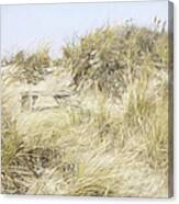 Morning In The Dunes Canvas Print