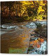 Morning In The Fort River Canvas Print